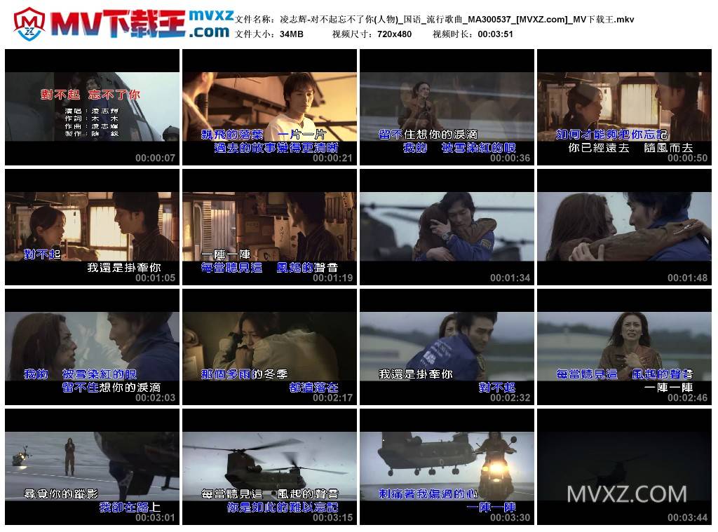 凌志辉-对不起忘不了你(人物)_国语_流行歌曲_MA300537